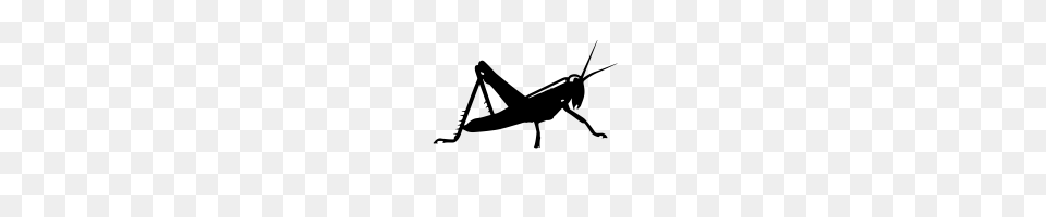 Grasshopper Icons Noun Project, Gray Png Image