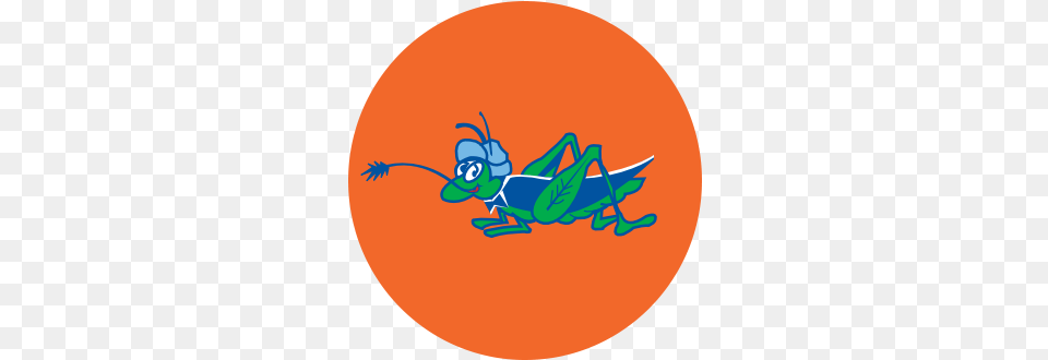 Grasshopper Lawns Contest Submission Illustration, Animal, Insect, Invertebrate, Cricket Insect Free Png