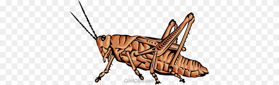 Grasshopper Royalty Vector Clip Art Illustration, Animal, Insect, Invertebrate, Person Free Transparent Png