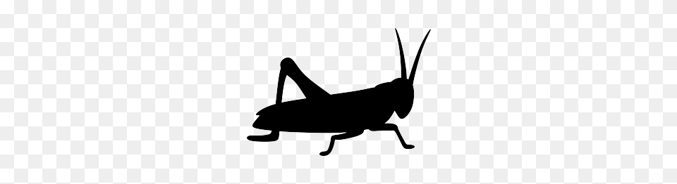 Grasshopper Silhouette Ant And Grasshopper Insects, Animal, Insect, Invertebrate, Kangaroo Png