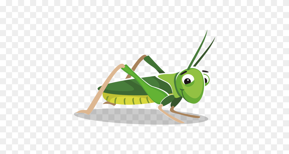 Grasshopper Smileys And Messages Clip Art, Animal, Insect, Invertebrate, Bow Png Image