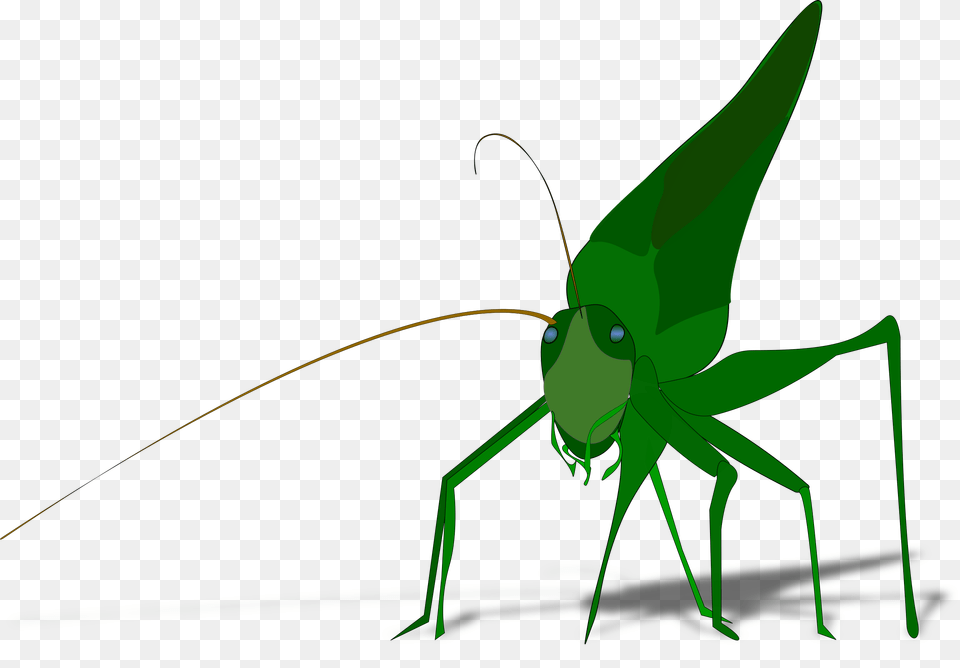 Grasshopper With Shadow Icons, Animal, Cricket Insect, Insect, Invertebrate Free Transparent Png