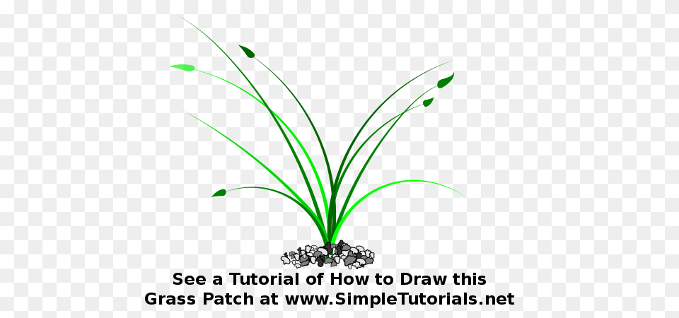 Grasspatchtutorial, Art, Floral Design, Graphics, Pattern Png