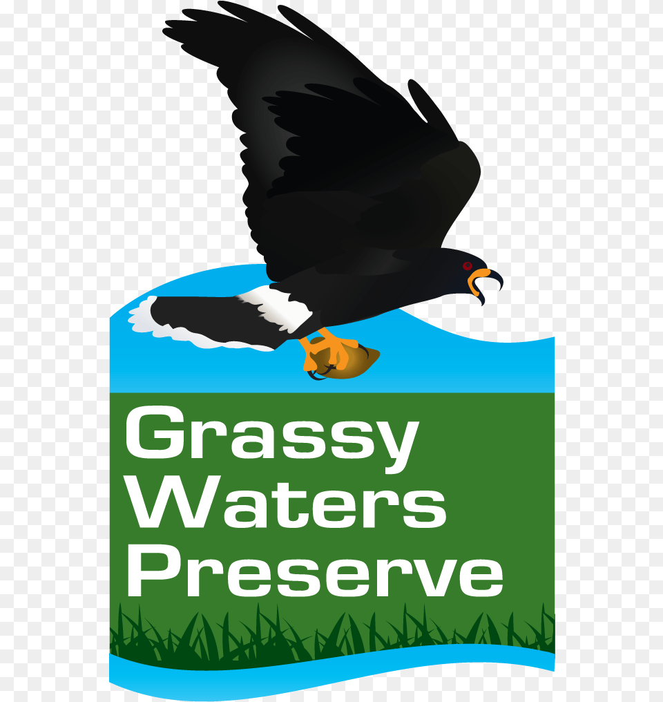 Grassy Waters Logo Grassy Waters Preserve Logo, Animal, Beak, Bird, Eagle Png Image