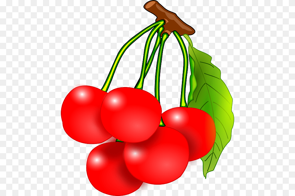 Gratis Bild, Cherry, Food, Fruit, Plant Png Image