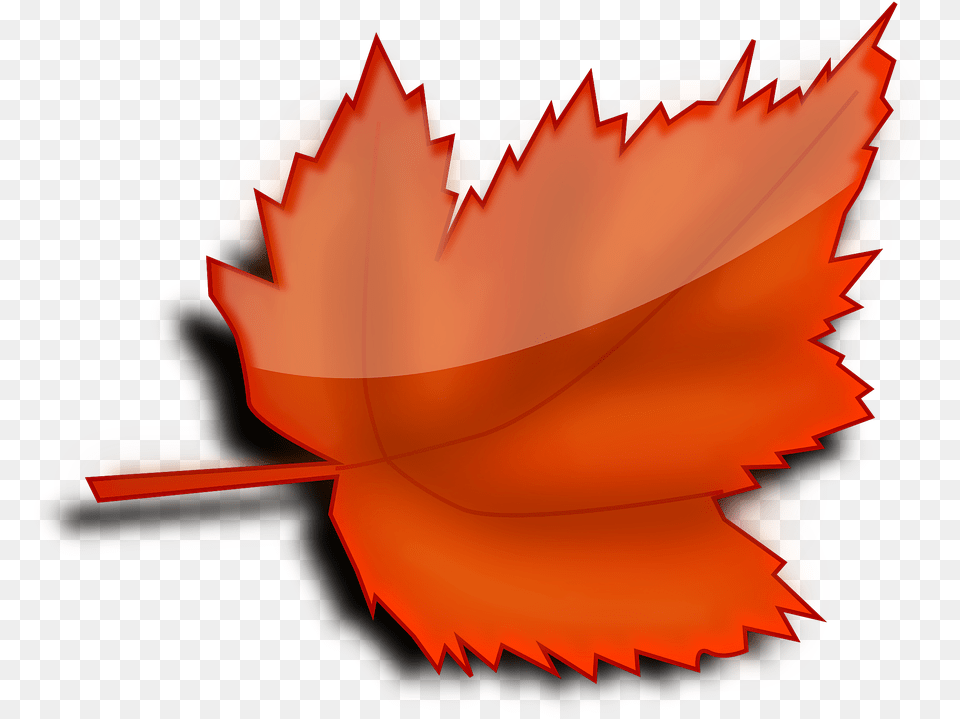 Gratis Billede P Pixabay Ahorn Efter R Red Leaf Clip Art, Plant, Tree, Maple Leaf, Maple Png