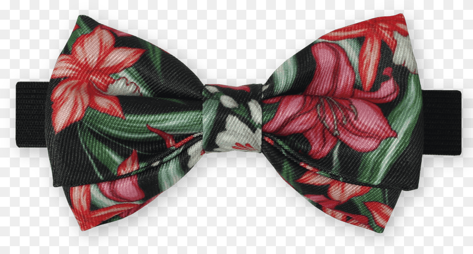 Gravata Borboleta Floral Arlindo Grund Dois Maridos Bow Tie, Accessories, Bow Tie, Formal Wear, Clothing Png Image