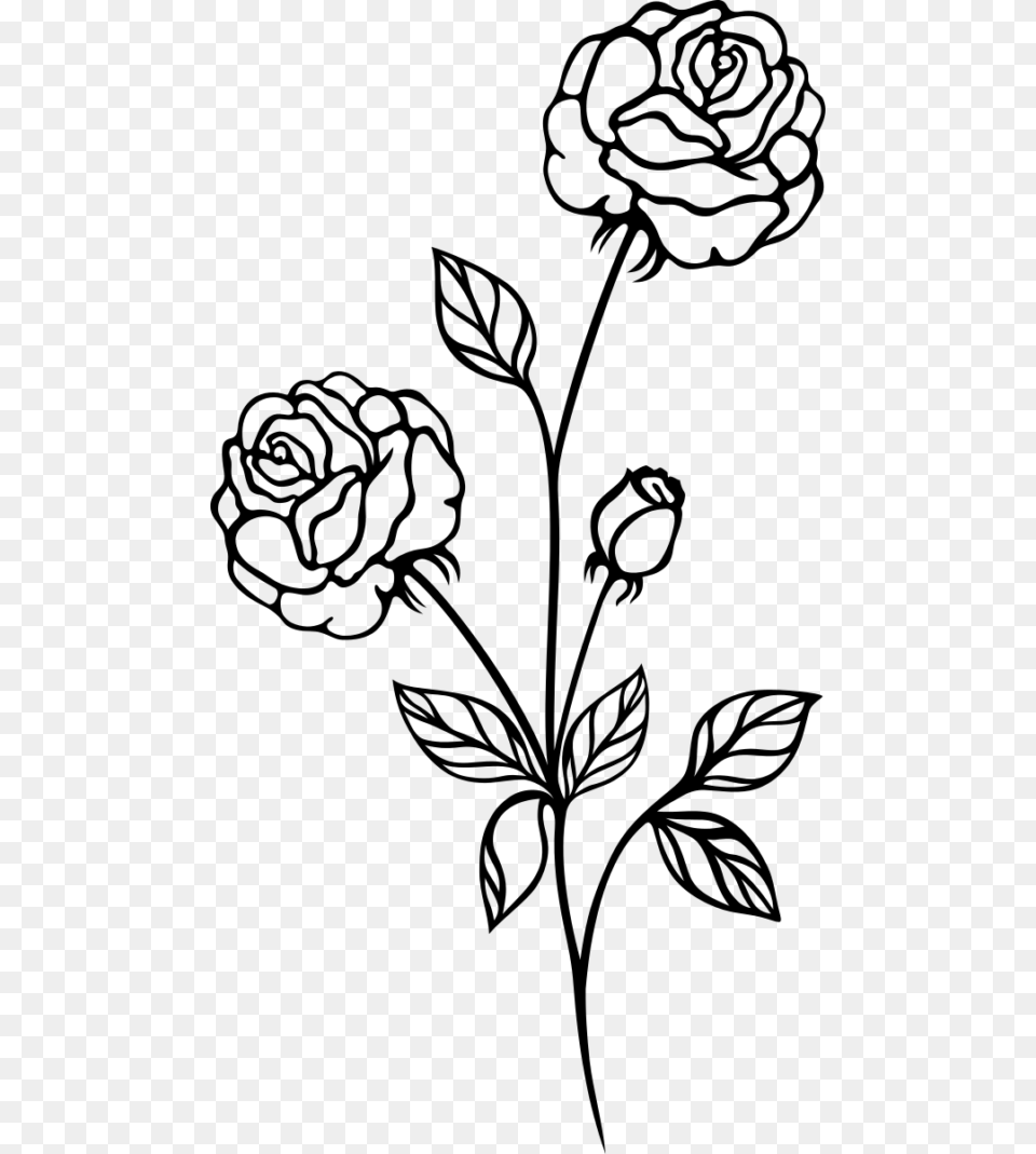 Grave Clipart Flower Drawing Rose Plant Black And White, Gray Png
