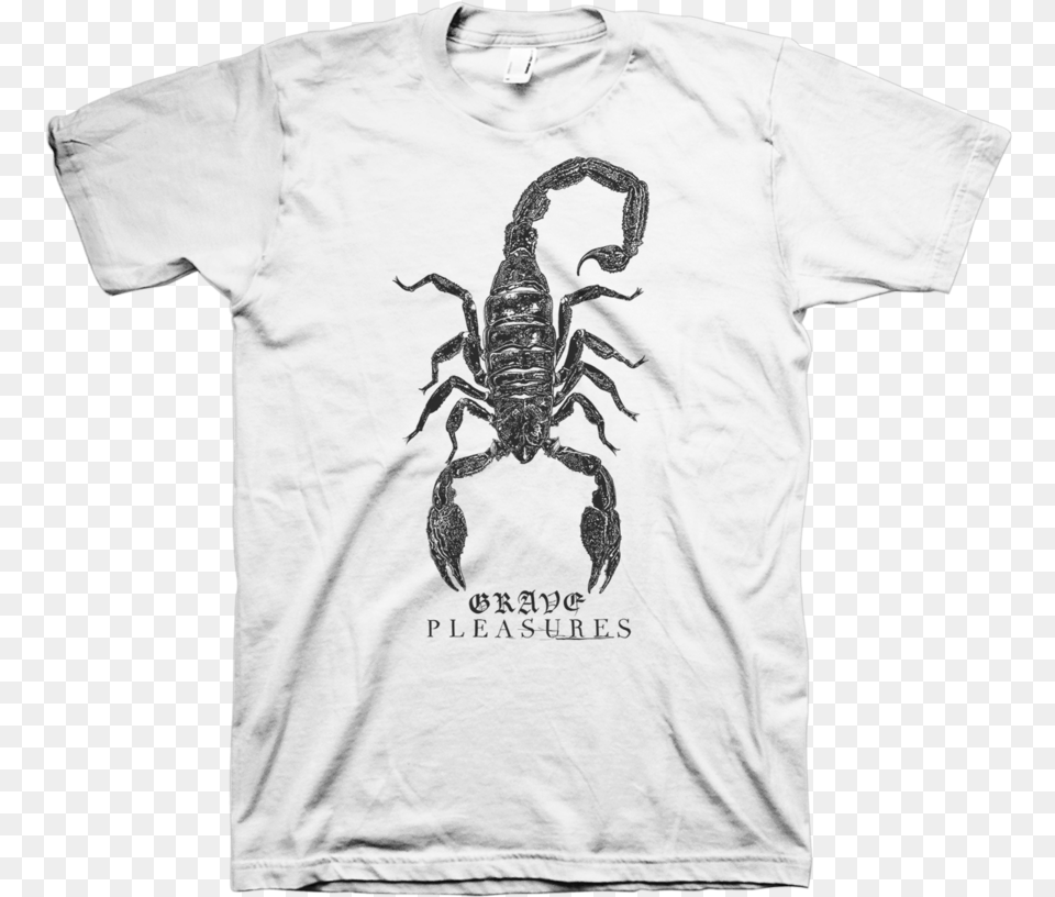 Grave Pleasures Quotscorpionquot White Planes Mistaken For Stars T Shirt, Clothing, T-shirt, Animal, Insect Png Image