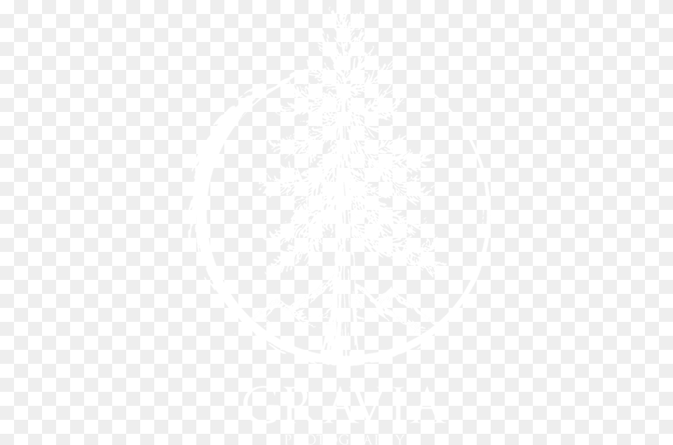 Gravia Logo White Raven, Tree, Plant, Adult, Wedding Png