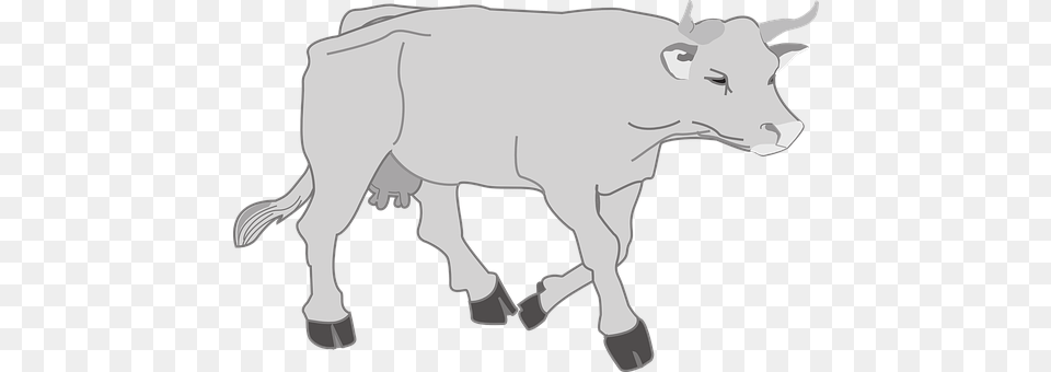 Gray Animal, Bull, Mammal, Livestock Free Transparent Png