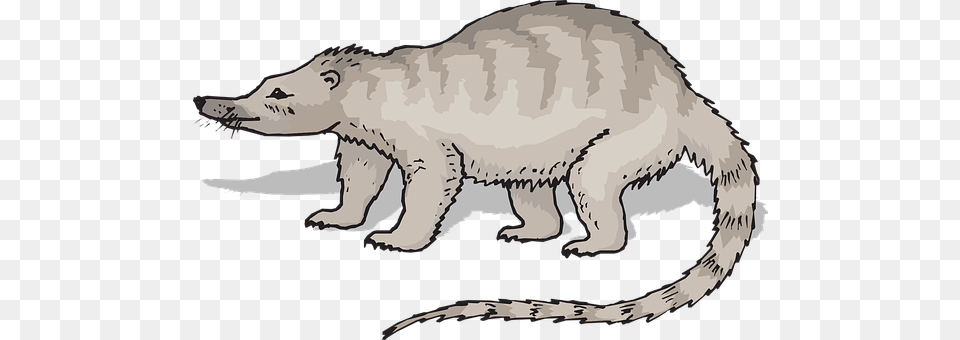 Gray Animal, Mammal, Wildlife Free Png Download