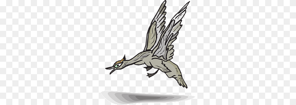 Gray Animal, Bird, Flying, Beak Free Transparent Png