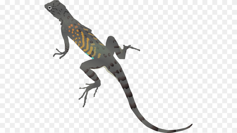 Gray And Orange Striped Lizard Clip Art, Animal, Reptile, Gecko, Weapon Free Png Download