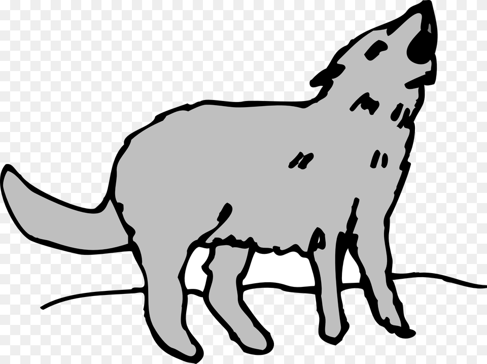 Gray Animal Coyote Howling Coyote Clipart, Mammal, Wolf, Kangaroo Png Image