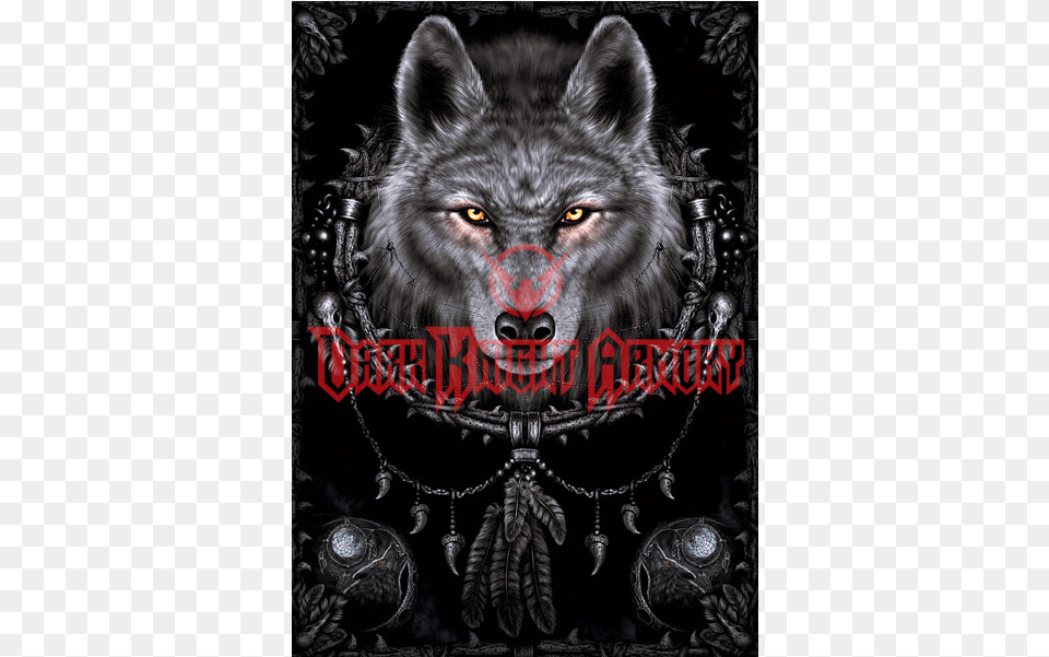 Gray Art Wolf Allposters Native American Wolves Dreamcatchers, Animal, Mammal, Canine, Dog Free Png