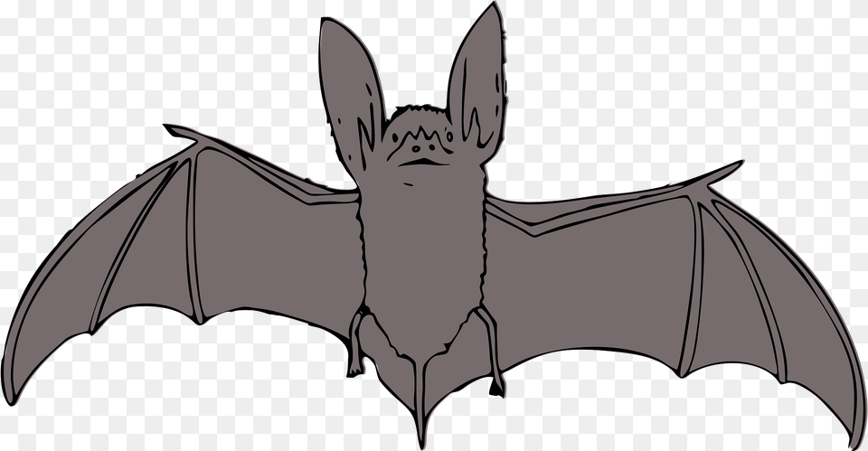 Gray Bat With Outstretched Wings Clipart, Animal, Mammal, Wildlife, Person Png Image