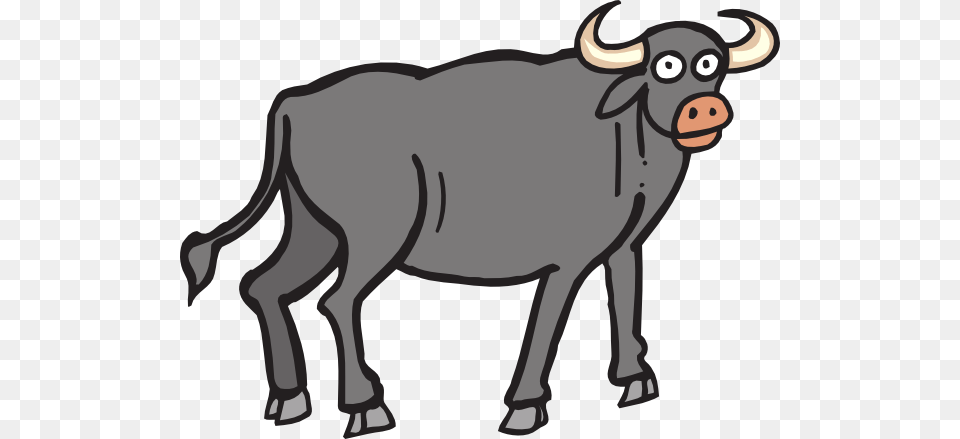 Gray Bull Clip Arts Download, Animal, Cattle, Livestock, Mammal Free Png