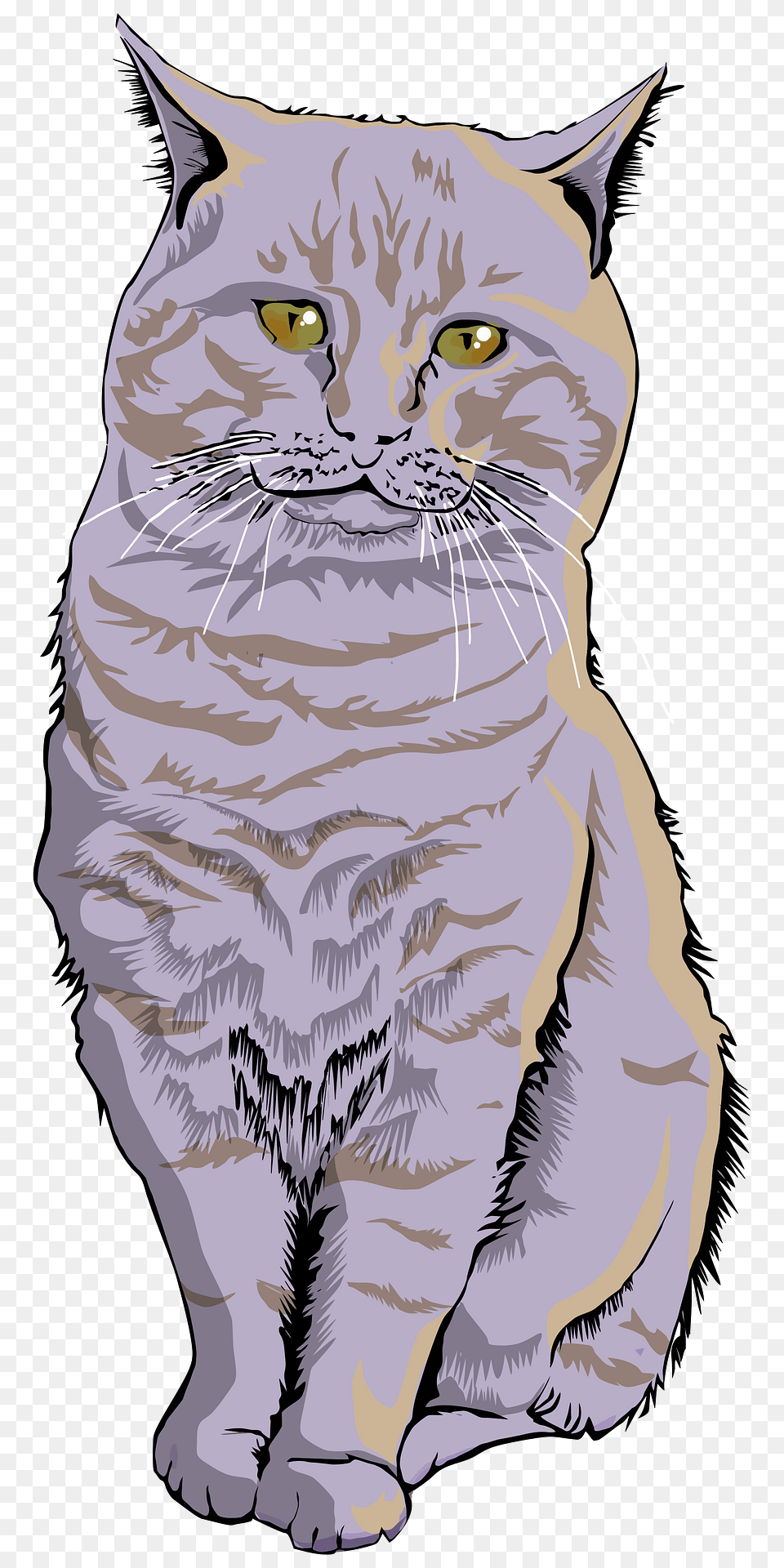 Gray Cat Clipart, Animal, Manx, Mammal, Pet Png