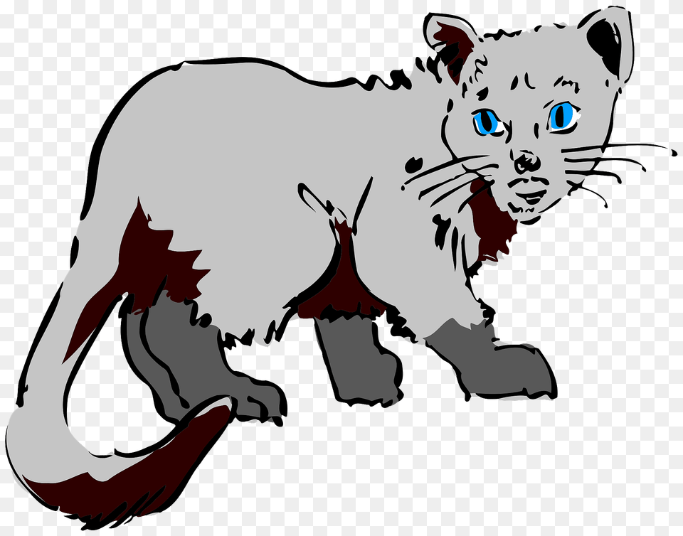 Gray Cat Clipart, Person, Face, Head, Animal Free Transparent Png