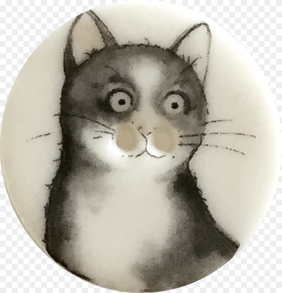 Gray Cat With Big Round Eyes 1 18 Black Cat, Art, Face, Head, Person Free Transparent Png
