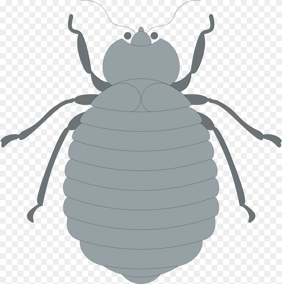 Gray Clipart, Ammunition, Animal, Grenade, Weapon Png
