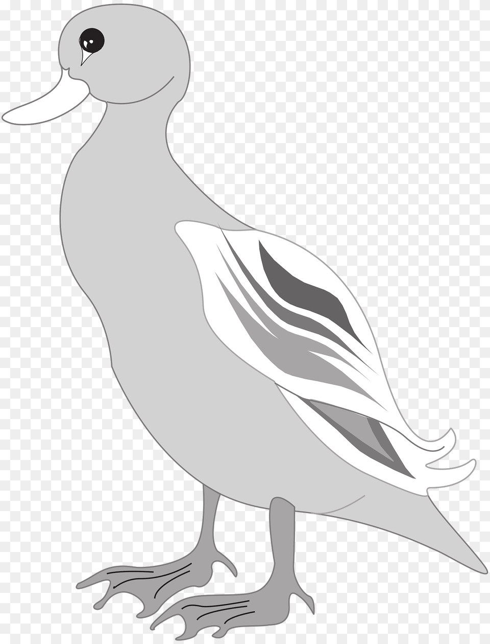 Gray Clipart, Animal, Anseriformes, Bird, Waterfowl Free Transparent Png