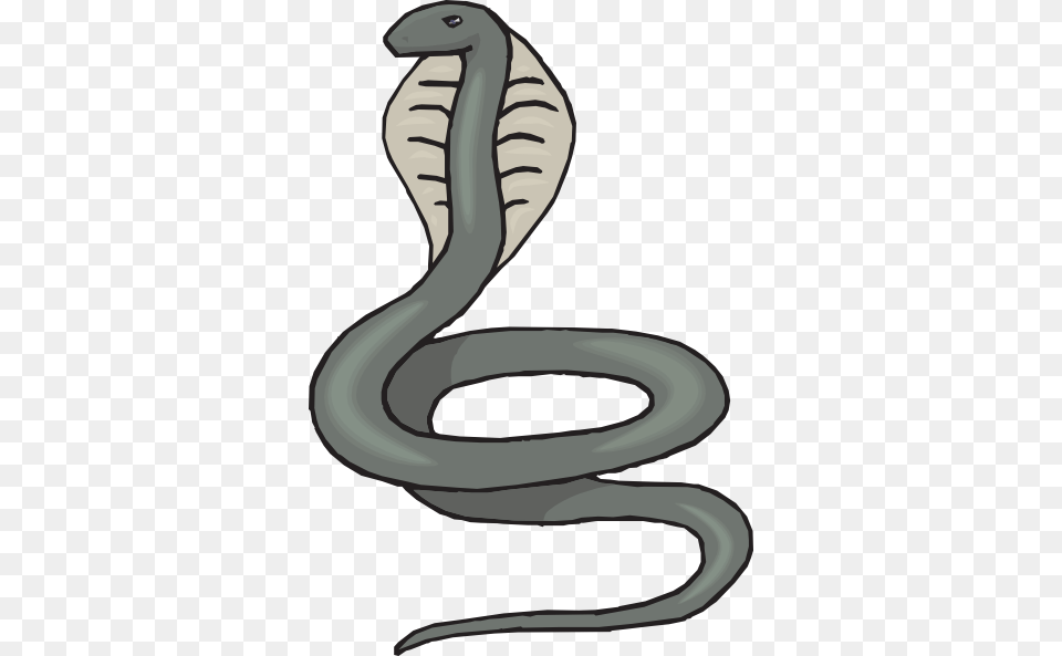 Gray Cobra Clip Arts For Web, Animal, Reptile, Snake Free Png