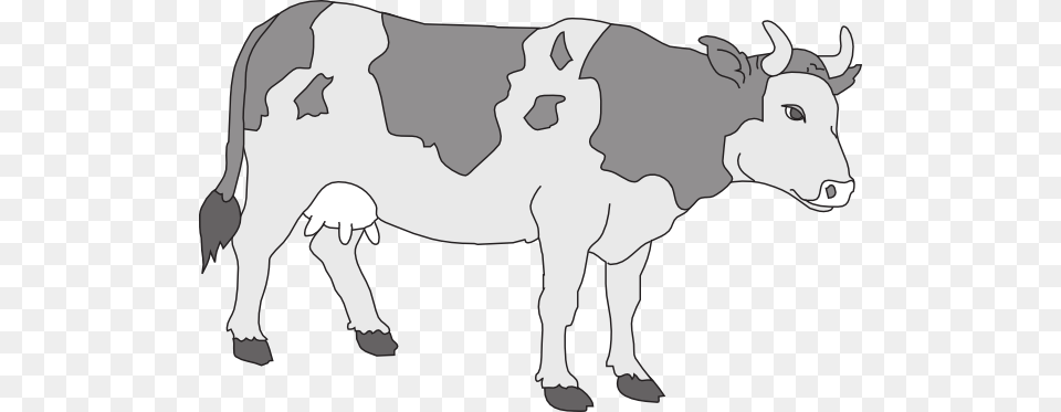 Gray Colored Cow Svg Clip Arts 600 X 373 Px, Animal, Cattle, Mammal, Livestock Free Png