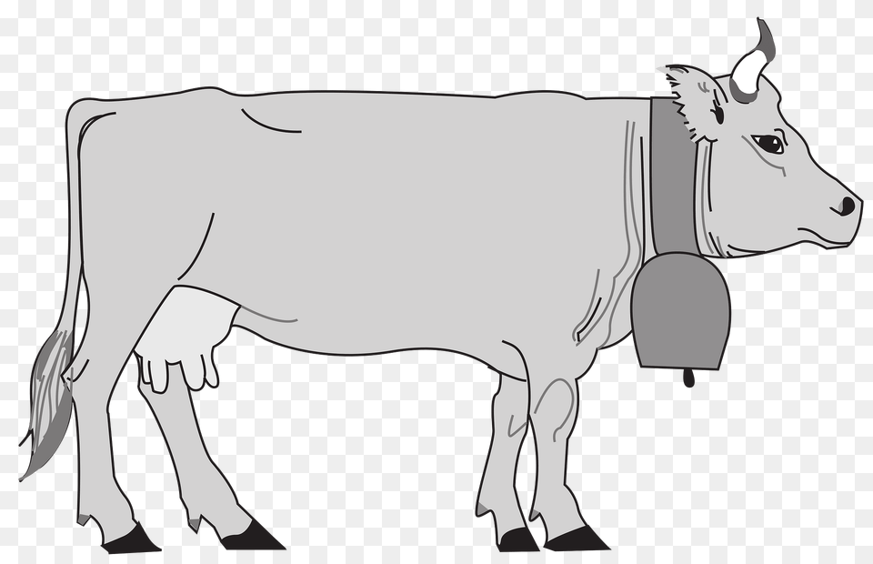 Gray Cow Clipart, Animal, Cattle, Livestock, Mammal Free Transparent Png