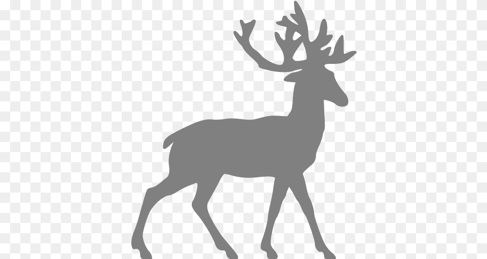 Gray Deer Icon Free Gray Animal Icons Deer Silhouette, Mammal, Wildlife, Elk, Person Png