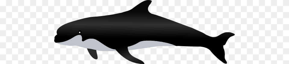 Gray Dolphin Clip Arts For Web, Animal, Sea Life, Fish, Shark Free Png Download