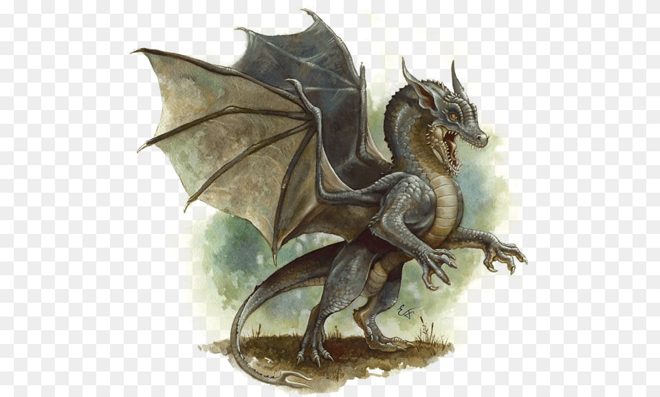 Gray Dragon Dungeons U0026 Dragons Fandom Dnd Baby Black Dragon Art, Animal, Dinosaur, Reptile Free Png Download