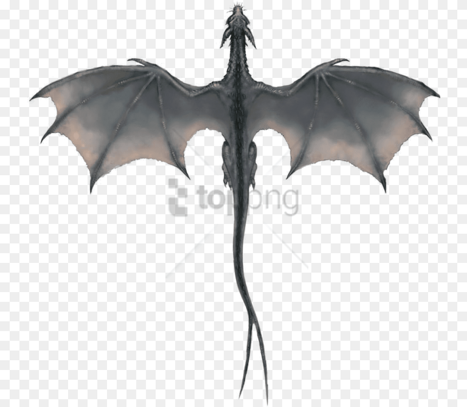 Gray Dragon Image With Background Game Of Thrones Dragon Wings, Animal, Fish, Sea Life, Shark Free Transparent Png