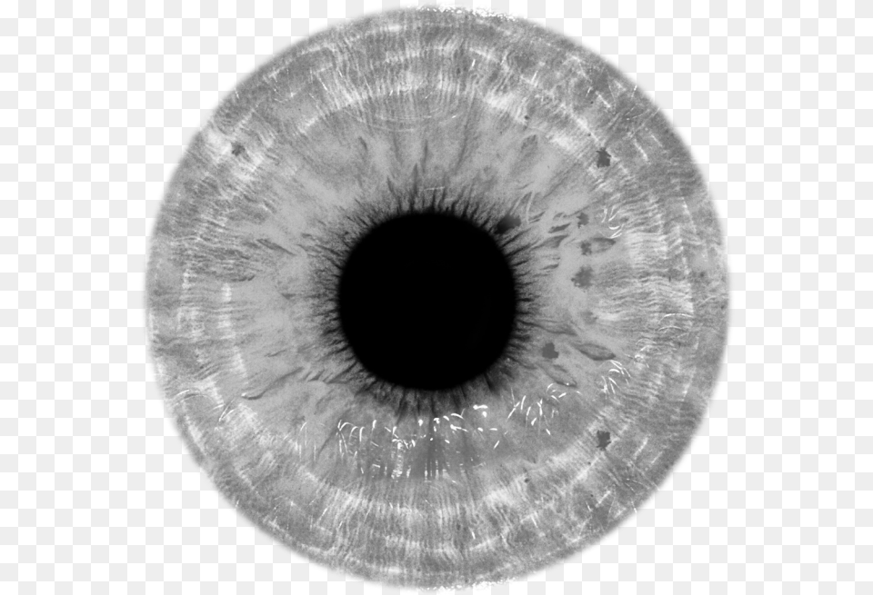 Gray Eye Lens, Hole Png