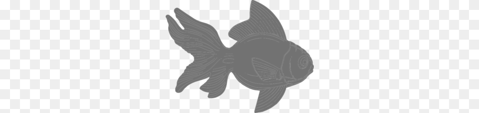 Gray Fish Clipart Clip Art, Silhouette, Flower, Plant Png Image