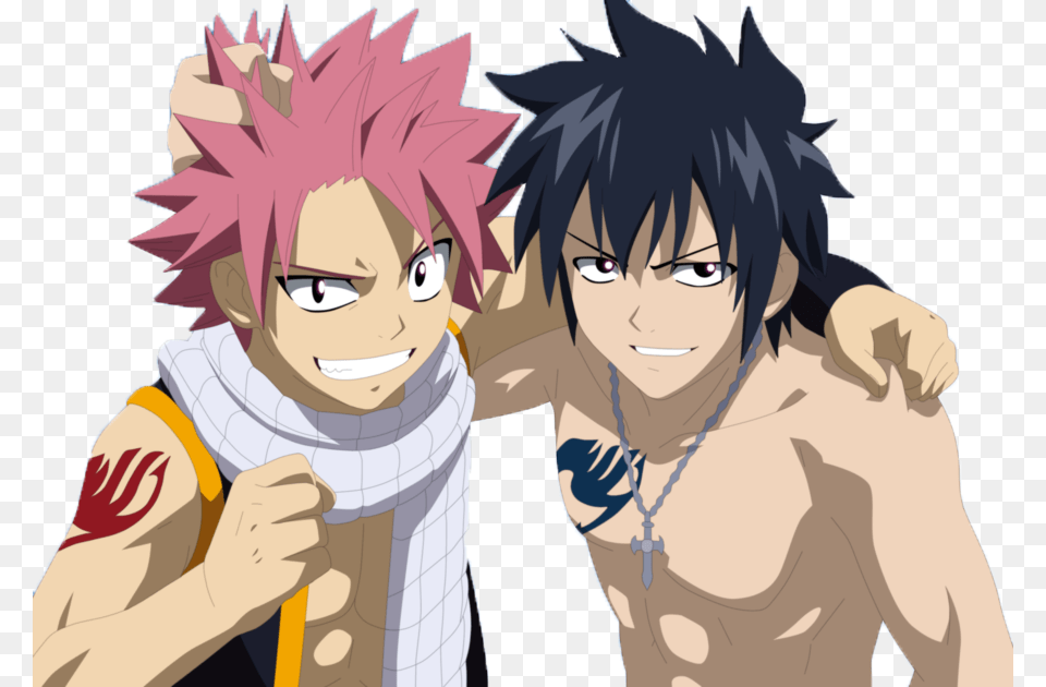 Gray Fullbuster And Natsu Dragneel, Anime, Book, Comics, Publication Free Png