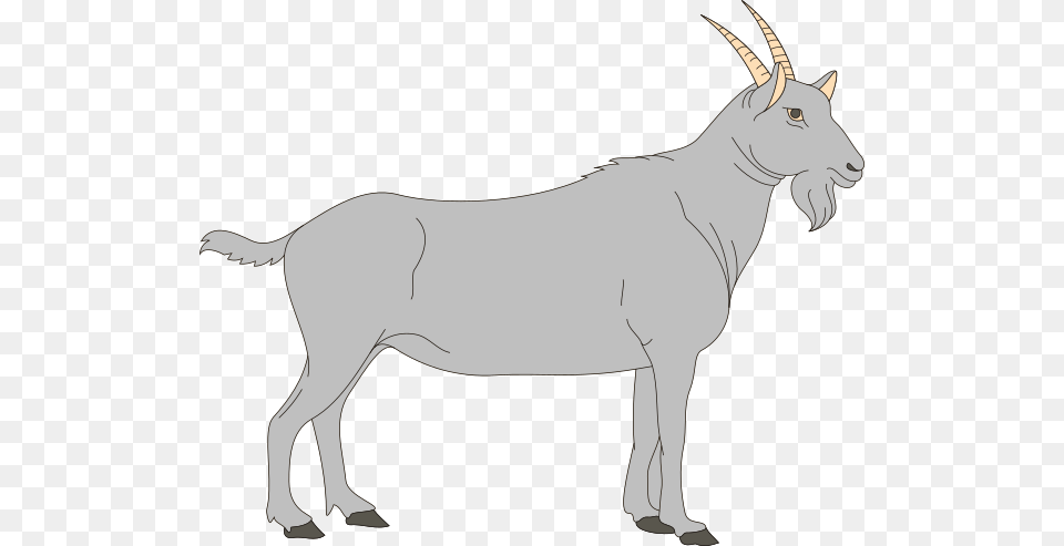 Gray Goat Clip Art, Animal, Mammal, Wildlife, Horse Free Png