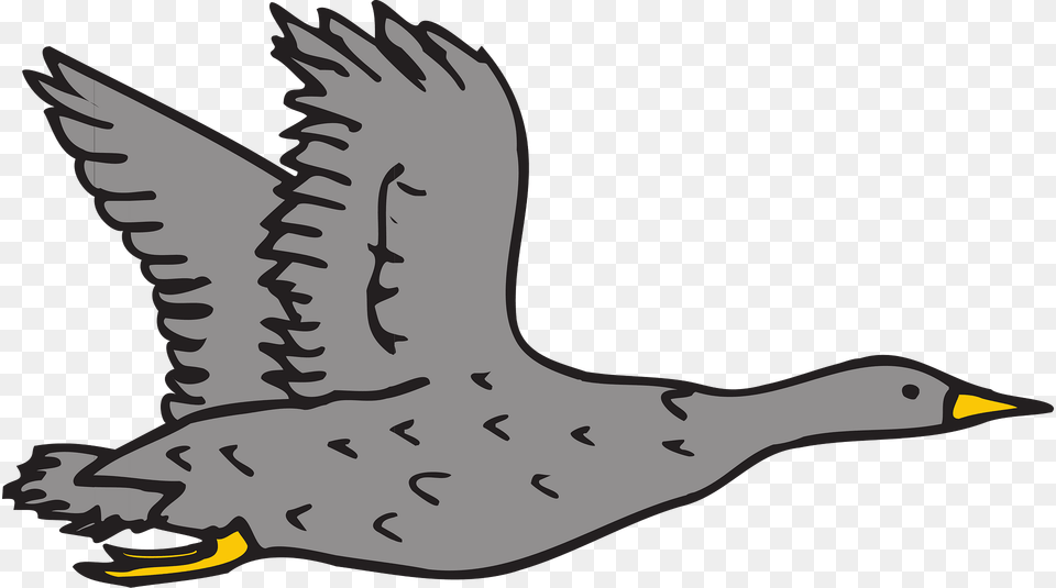Gray Goose Clipart, Animal, Bird, Waterfowl, Anseriformes Free Png