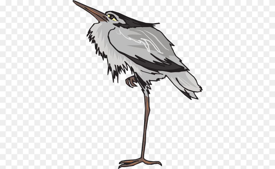Gray Heron Standing On One Leg Clip Arts For Web, Animal, Bird, Waterfowl, Crane Bird Png Image