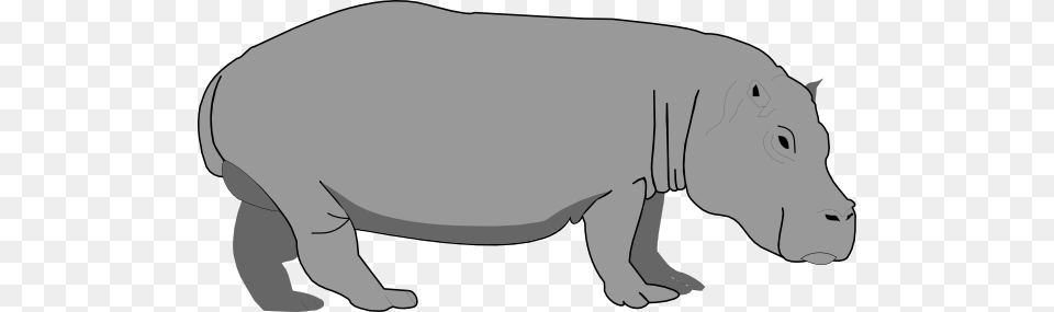 Gray Hippo Clip Arts For Web, Animal, Mammal, Wildlife, Pig Free Png