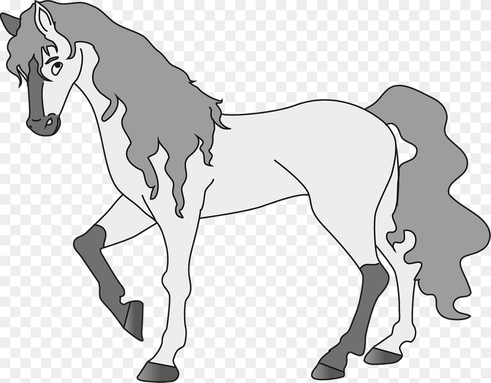 Gray Horse Clipart, Animal, Mammal, Colt Horse Free Transparent Png