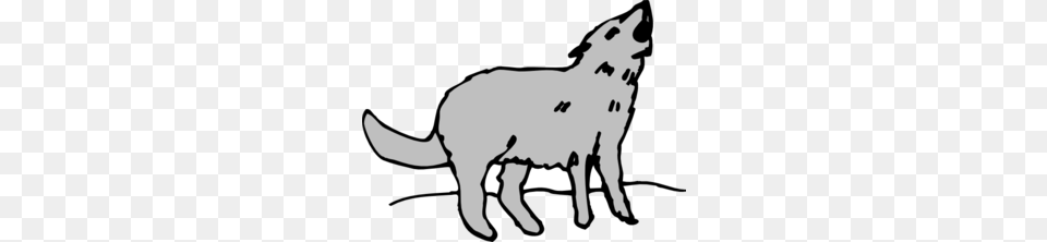 Gray Howling Coyote Clip Art, Animal, Mammal, Wolf, Baby Png