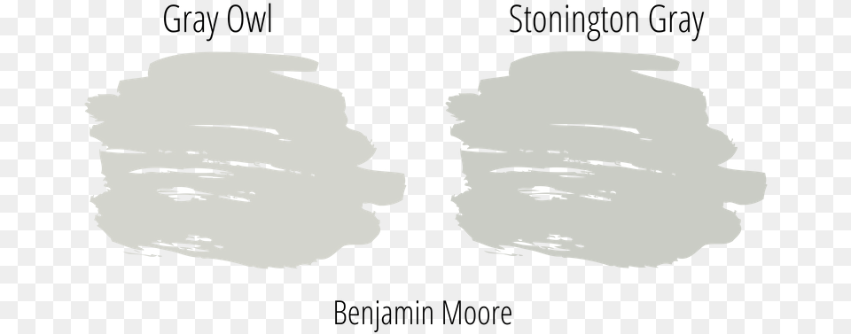 Gray Owl And Stonington Gray From Benjamin Moore Paint Launch Day, Light, Face, Head, Person Free Transparent Png
