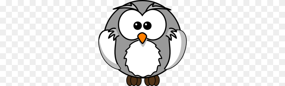 Gray Owl Clip Art, Animal, Beak, Bird, Nature Free Png Download