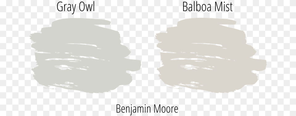 Gray Owl Next To Balboa Mist Both Popular Neutral White Paint Swatch, Light, Face, Head, Person Free Png Download