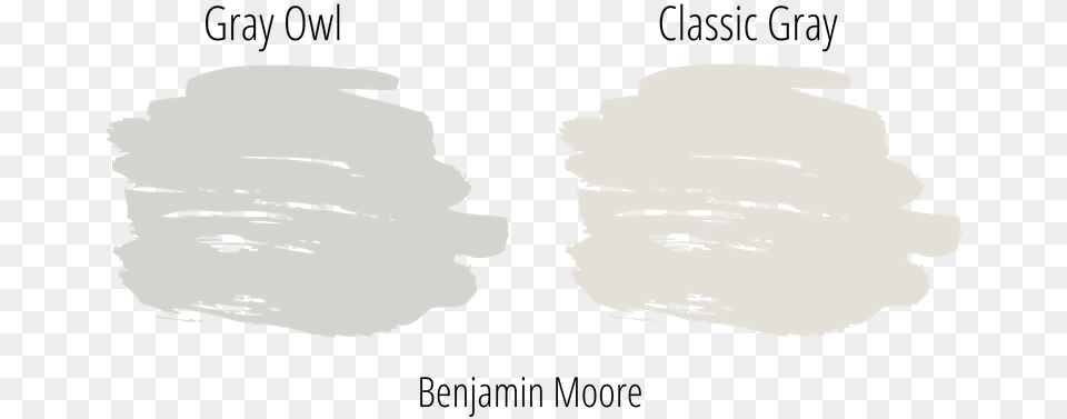 Gray Owl Next To Classic Gray Paint Swatch From Benjamin White Paint Swatch, Light, Face, Head, Person Free Png Download
