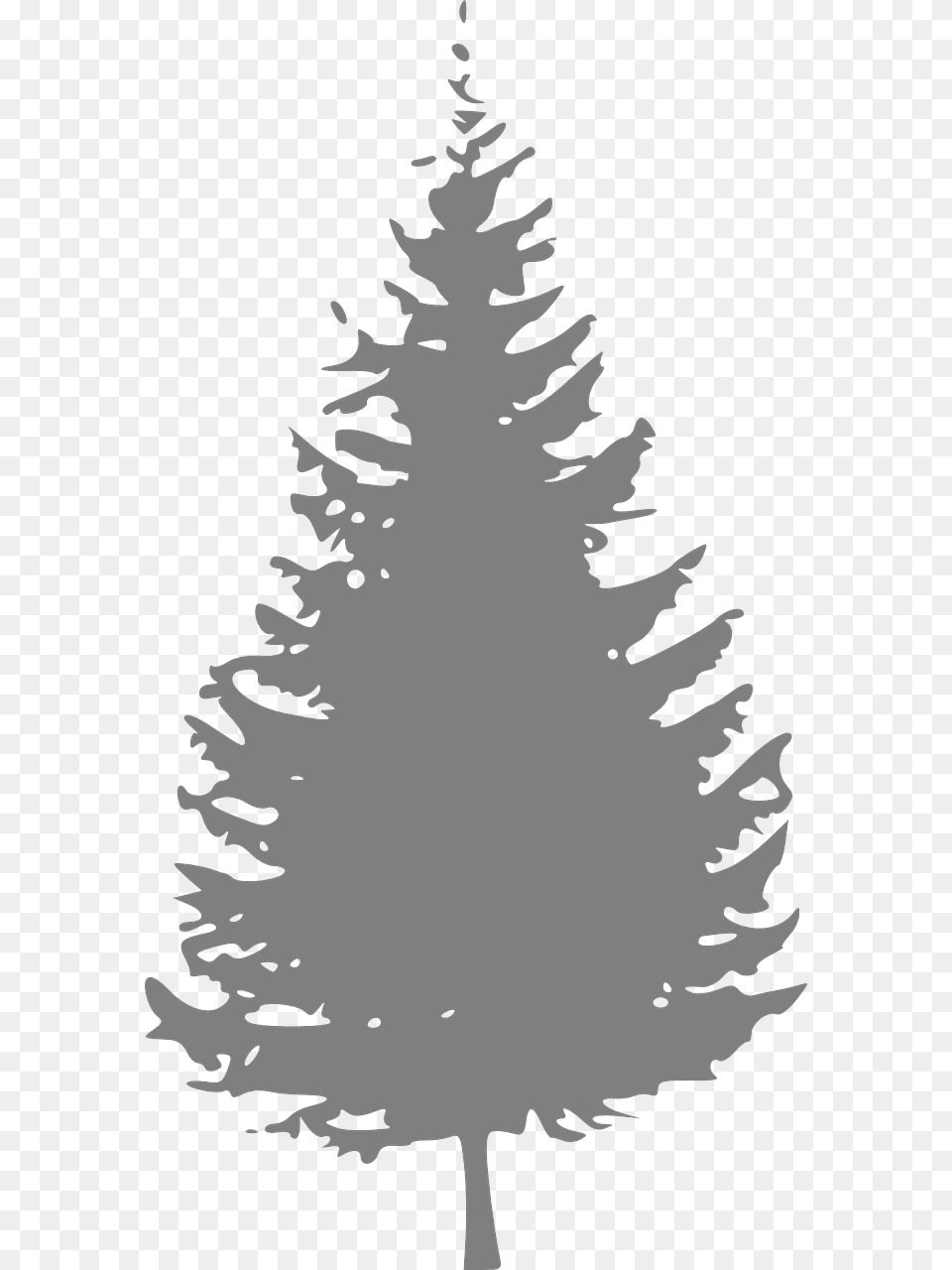 Gray Pine Tree Clip Art Pine Tree Clipart Black And White, Fir, Plant, Stencil, Person Png Image