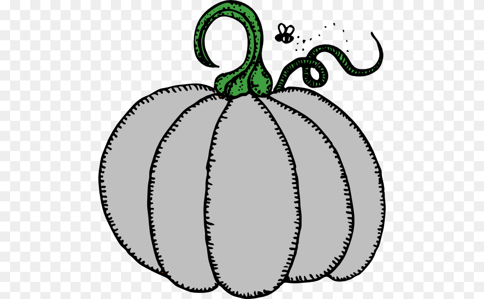 Gray Pumpkin Clipart For Web, Food, Fruit, Plant, Produce Free Png