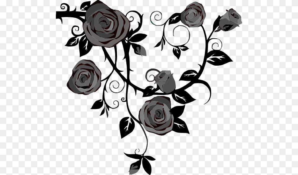 Gray Roses No Background Clip Art, Floral Design, Flower, Graphics, Pattern Free Transparent Png